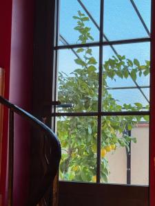 B&B / Chambres d'hotes Maison Jacotte orange : photos des chambres