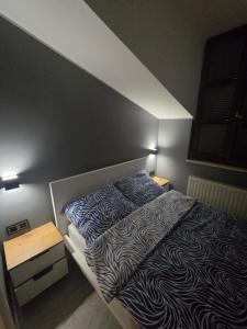 Centrum Jacuzzi prywatny parking klimatyzacja 5