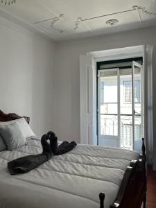 Lisboa Príncipe Real Home - Casa de Hóspedes - By Grupo Lisboa Alojamentos