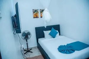 The Lit Gardens - Kericho