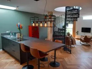 Luxurious house close to the center of Amsterdam - 赞丹