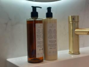 Luxurious house close to the center of Amsterdam