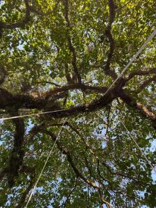 Aconchegante Casa de Hóspedes - Chácara Prado