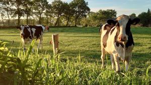 De Leev - Landhaus Lübbertsfehn