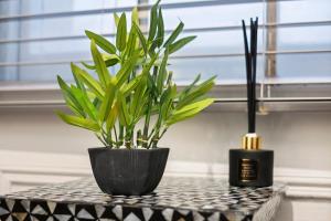 1 Bed Gem Next Hyde Park in top London Location