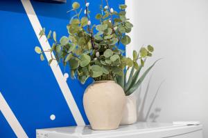 1 Bed Gem Next Hyde Park in top London Location