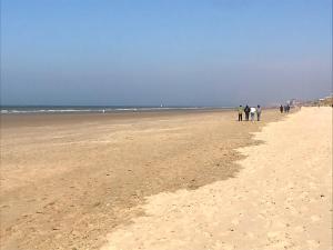 Appartements unobstructed beachfront view apartment : photos des chambres