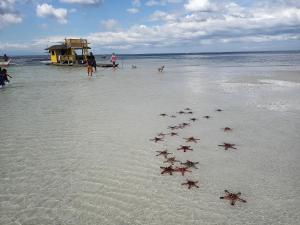 Little Boracay Kuya Waw Floating Cottage