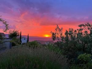 Villa Asteroídea - Tiha Mala