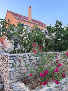 Villa Asteroidea - Tiha Mala