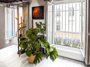 Rustic Charm&Dreamhome 40m2 in the heart of Paris, near Pompidou and Notre-Dame, Subway 4,8,9 Honeymoon favourite