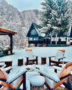 Căsuța cu doi brazi - 沙安