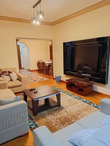 Cozy Furnished apartment