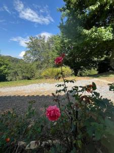 Ser Tão Veredas, na Mantiqueira