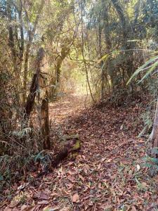 Ser Tão Veredas, na Mantiqueira