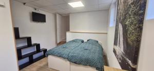 Appartements Studio des marmottes : photos des chambres