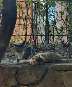 Forest stay changjeon#최대5인#신촌역서강대역도보6분#장박가능#