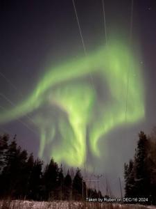 Wolf Street Gem, Free Parking n Nearby Bus Stop