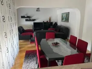 Dushko Apartment - 内戈蒂诺