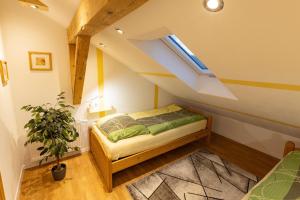 FeWo Froschkönig mit Sauna & Bergblick, Self-Check-in, WLAN, Parkplatz, zentrumsnah