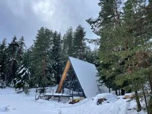 Alpine Lodge - Vrela