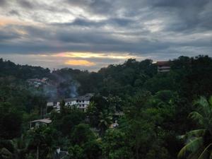 Lion Resort Kandy