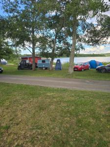Pukinsaaren Camping