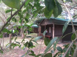 Toad Tree Cabins