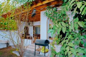 Tranquil Villa in Fayoum Private Pool Garden Lake Access