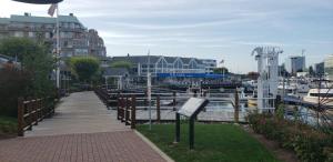 Stamford Bohemian by HarborPoint Downtown &Train