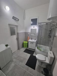 BIG APARTMAN BELA CRKVA