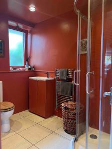 Spacious Stylish Family Flat Victoria Park with a very friendly Cat