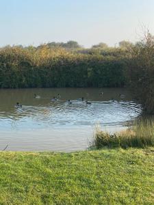 Beautiful 2 Bedroom Chalet 22 Cordova, Selsey
