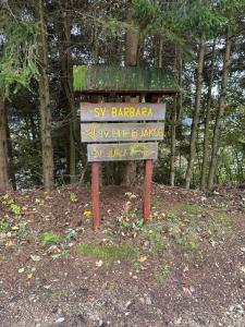 Apartments Barbra - Robinson life