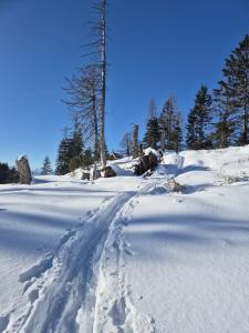 Gästehaus Hechenblaikner