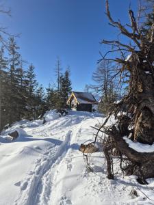 Gästehaus Hechenblaikner
