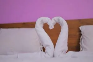 The dream gir farm - Junagadh