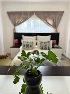 The Herby Taylor Guest House - 弗里尼欣