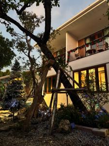 Proud Chiang Mai Poshtel