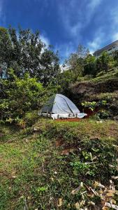 Alpine Kanthalloor CAMP SITE