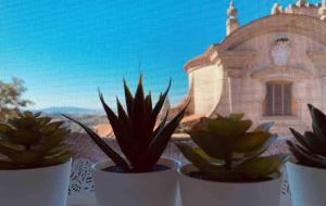 Slow Life apartment-near Peccioli, Volterra, Pisa