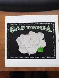 Gardenia - Plessis-Barbuise