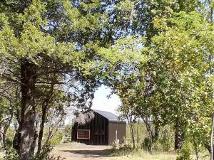 Cabañas Lodge Patagonia truful