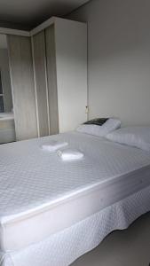 Area Nobre Gaivotas Ingleses