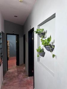 Hostal la 5ta avenida