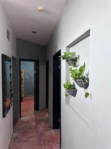 Hostal la 5ta avenida