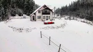 The Froggies - Panaci