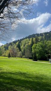 Appartements Appt lumineux, Thermes et Montagne : Appartement 1 Chambre