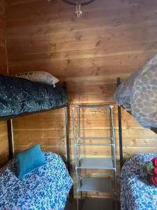 El Encanto Volcánico - Pitrufquén