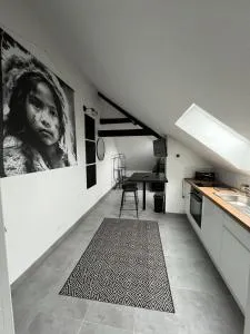 Apartment in Troyes - 圣安德烈莱韦尔热